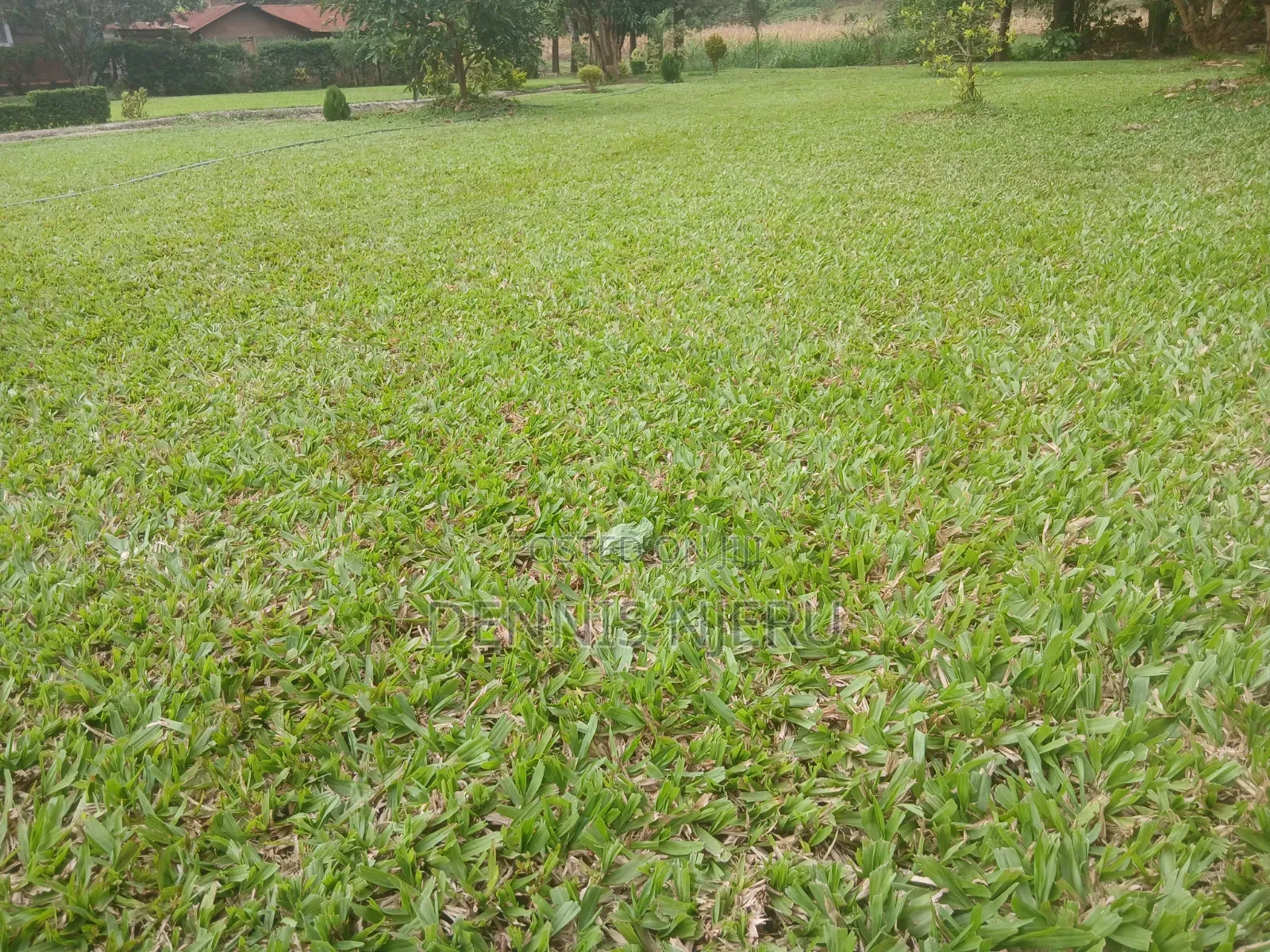Land Scaping