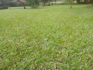 Land Scaping