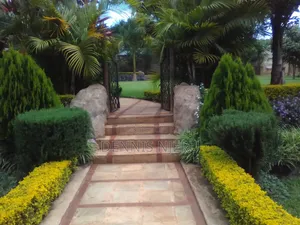 Land Scaping