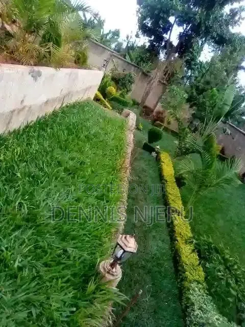 Land Scaping