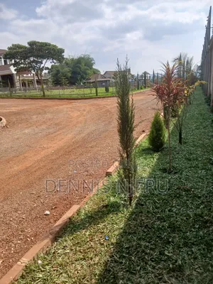 Land Scaping