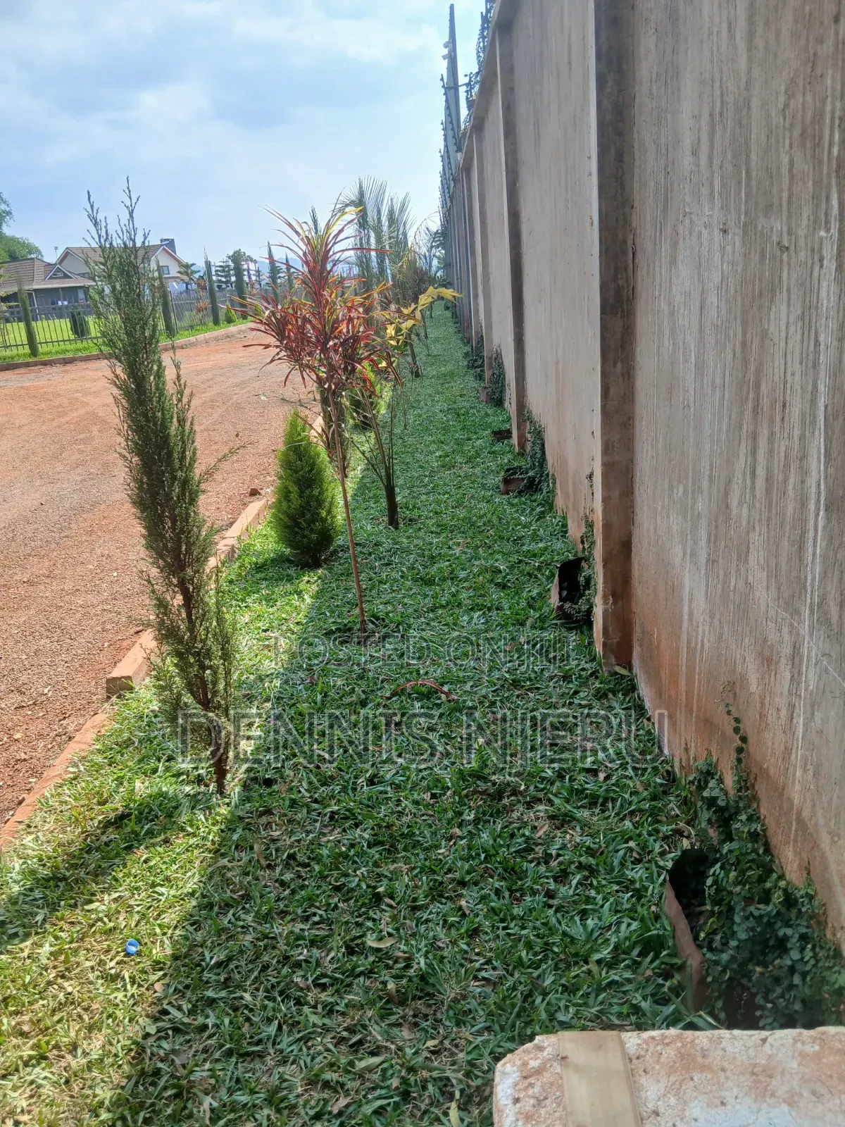 Land Scaping