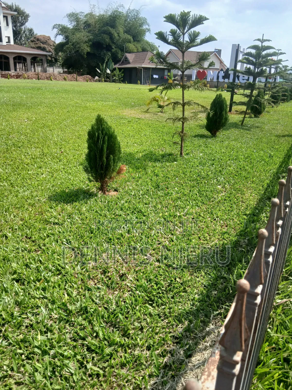 Land Scaping