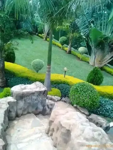 Landscaping