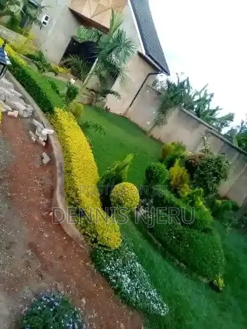 Landscaping