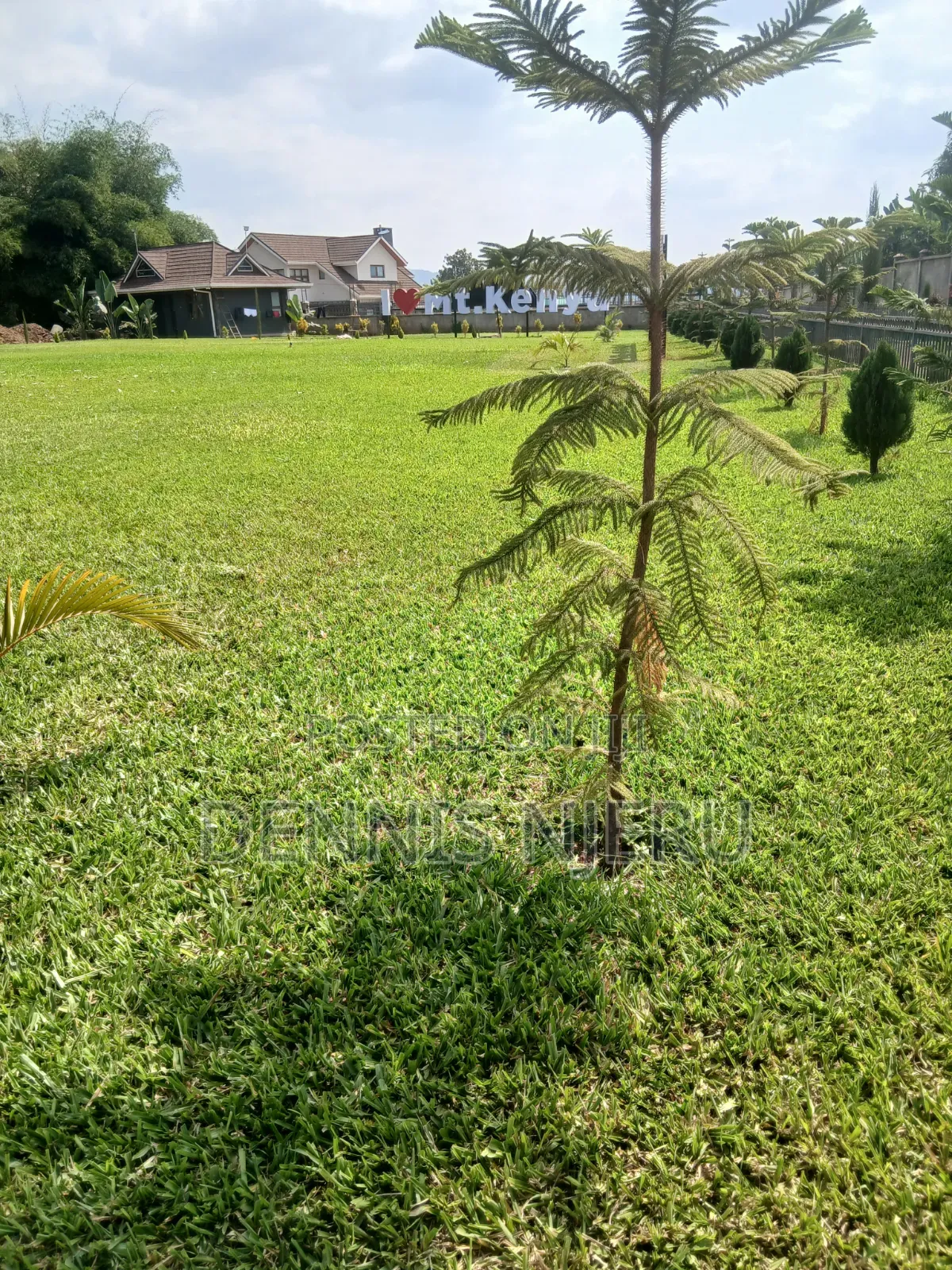 Landscaping
