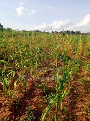 Land for Sale in Kangemi, Kayatta Matungulu