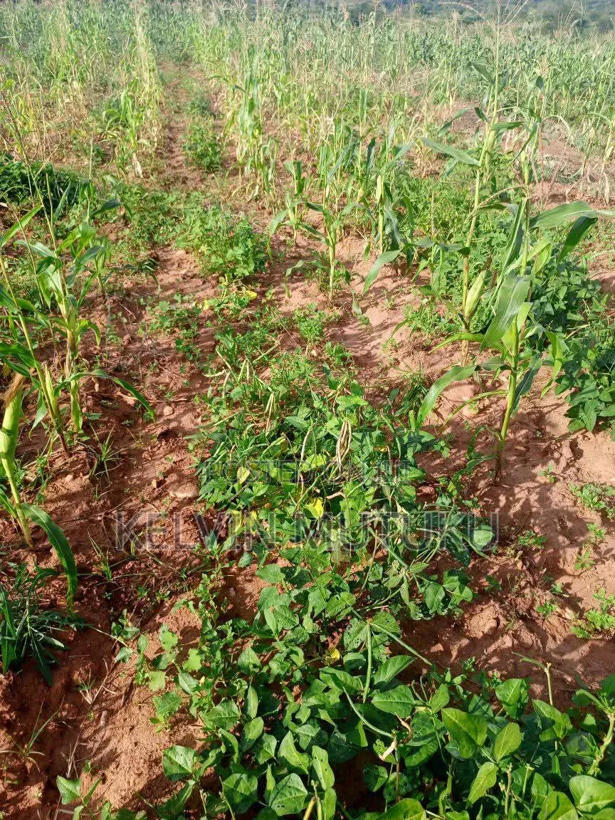 Land for Sale in Kangemi, Kayatta Matungulu