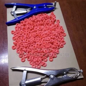 Tail Docking and Castration Elastrator