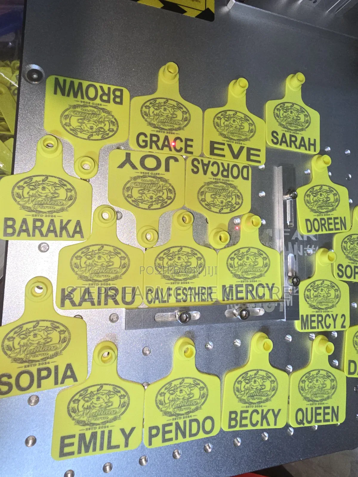 Logo Customised Cow Ear Tags