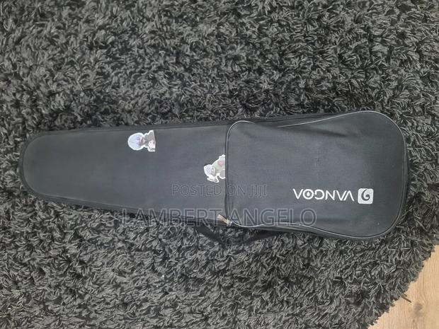 Electric Violin - thumbnail 2