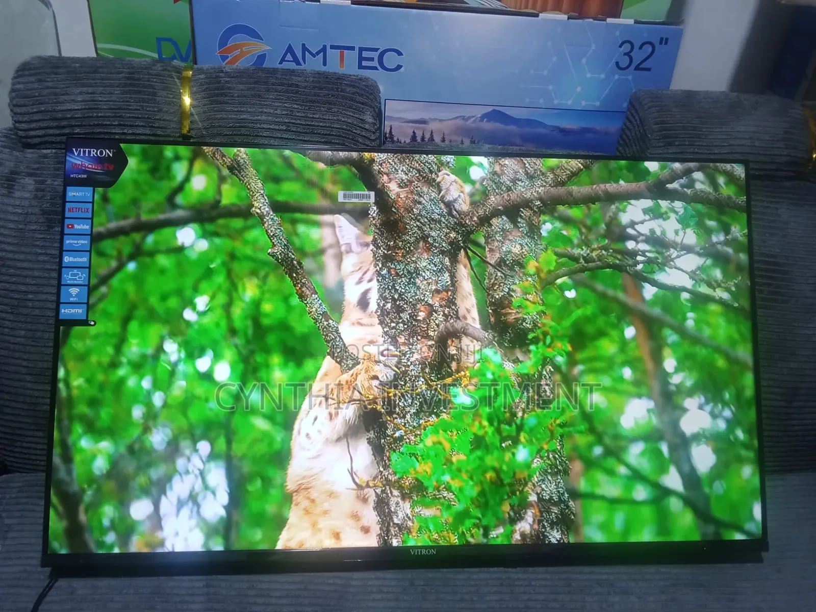 Vitron 43 Inch Whale TV