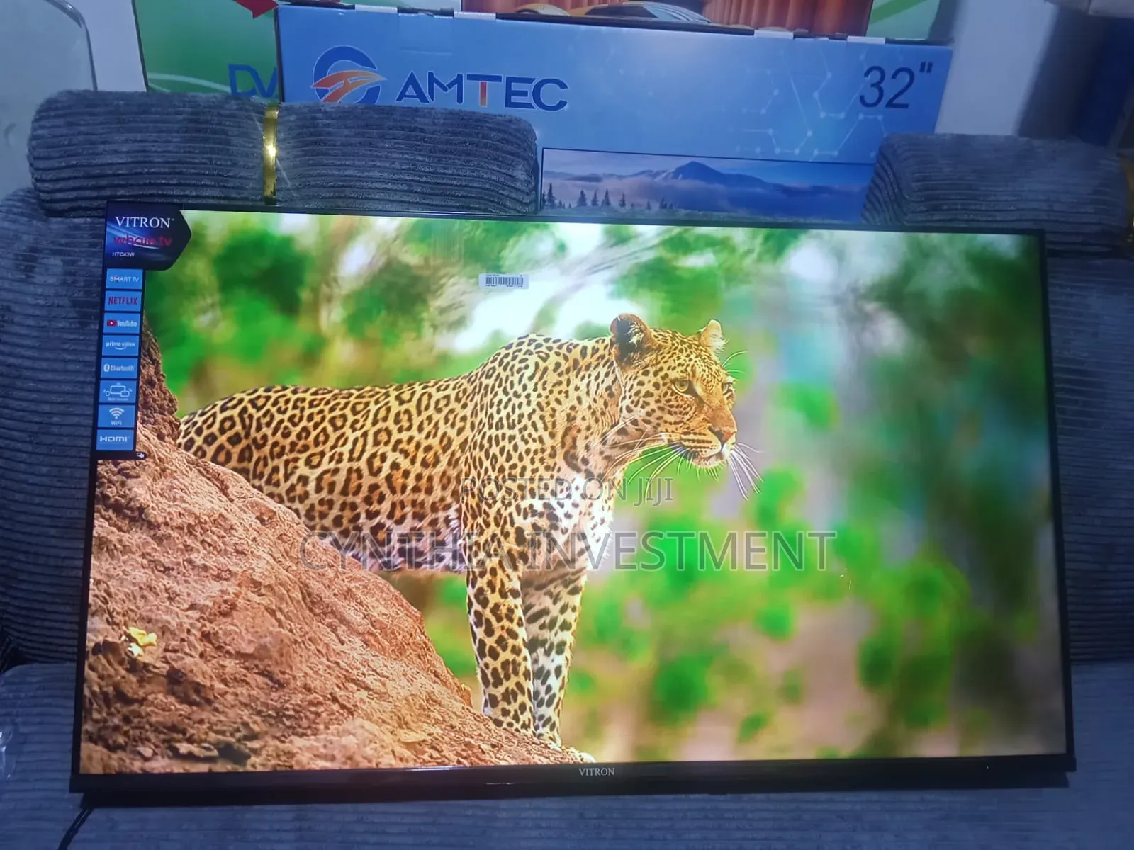 Vitron 43 Inch Whale TV