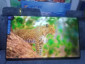 Vitron 43 Inch Whale TV
