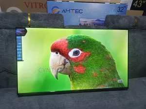 Vitron 40 Inch Whale TV