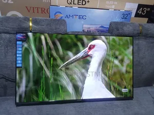 Vitron 40 Inch Whale TV