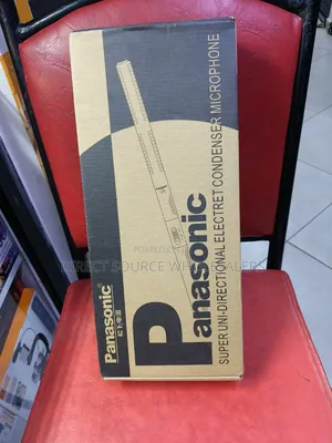Original Panasonic Vocal Microphone
