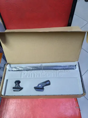 Panasonic Dynamic Microphone for Singing