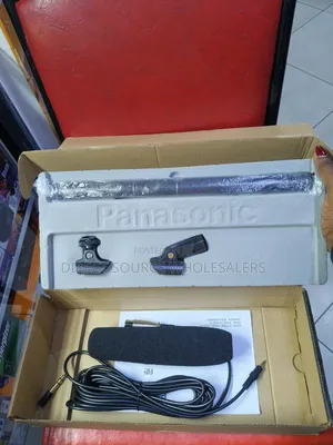 Panasonic Microphone for Church, Events Karaoke