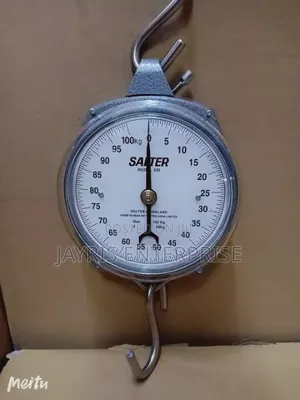 100kg Dial Hanging Scale