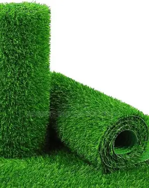Grass Carpet That Has Lush Green Finish