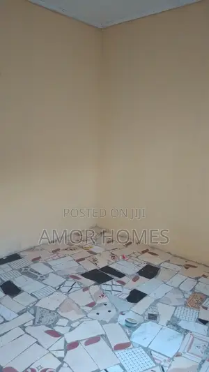 Studio Apartment in Katisha, Mshomoroni for rent
