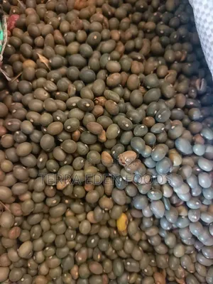 Army Green Beans