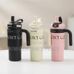 (550ml)Thermal Cup