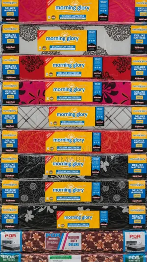 Morning Glory Mattress 3.5 by 6 6 Inch Foam Mattress, Brand New