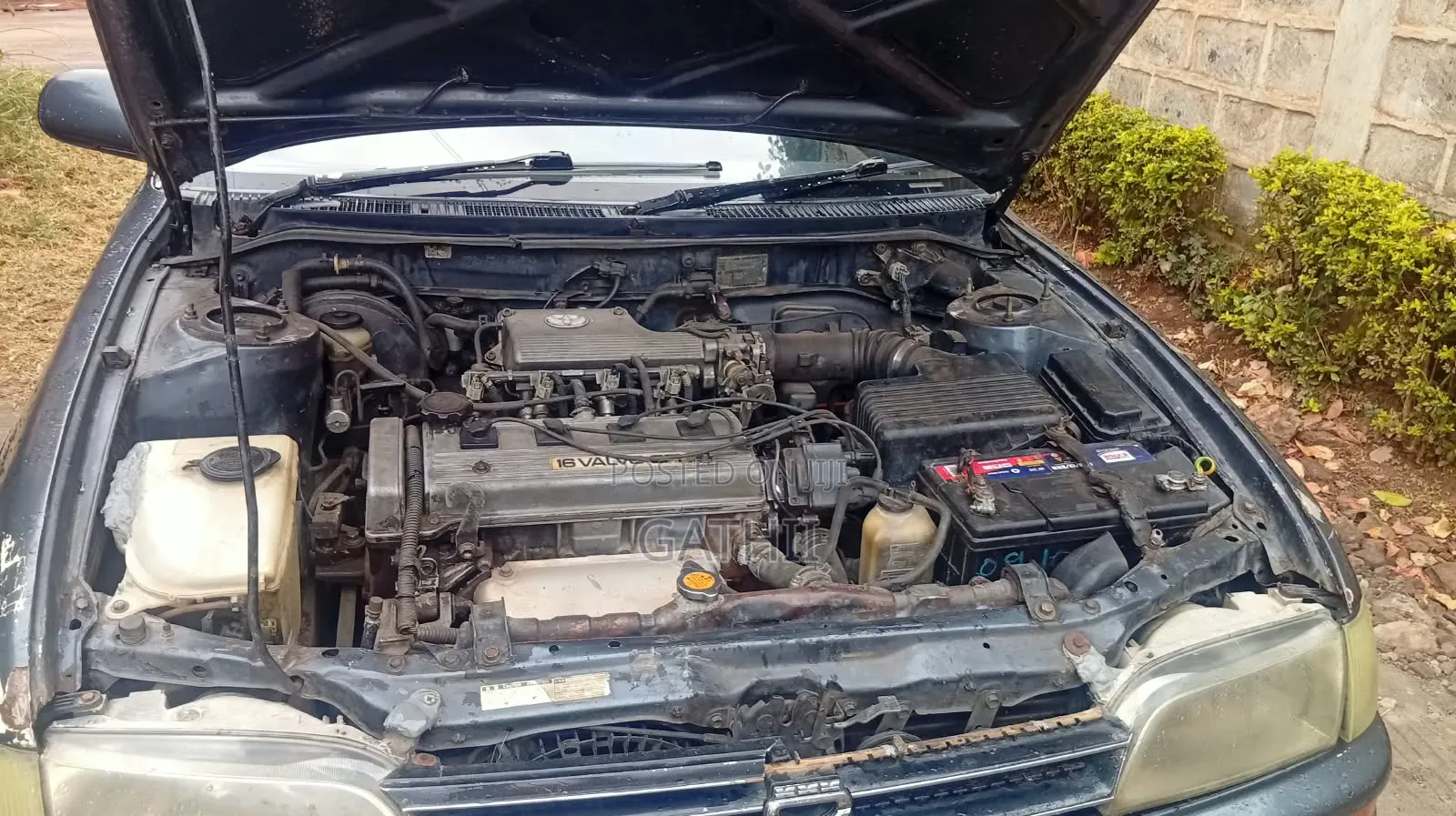 Toyota Corolla 1999 Blue