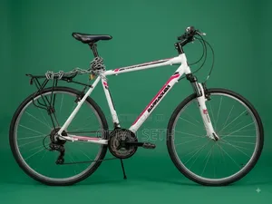 Barracuda Hybrid Bike – Front Suspension