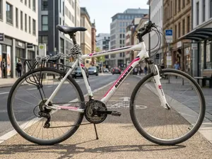 Barracuda Hybrid Bike – Front Suspension