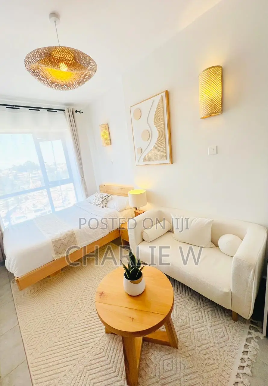 Furnished Studio Apartment in Tsavo Step Up, Riruta for rent