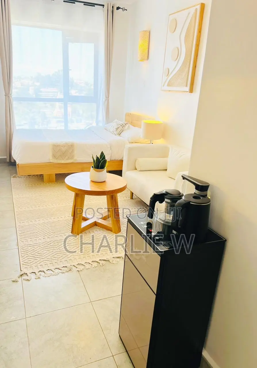 Furnished Studio Apartment in Tsavo Step Up, Riruta for rent