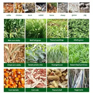 Easy Operate Feed Straw Silage Chaff Cutter Chopper Machine in Kenya