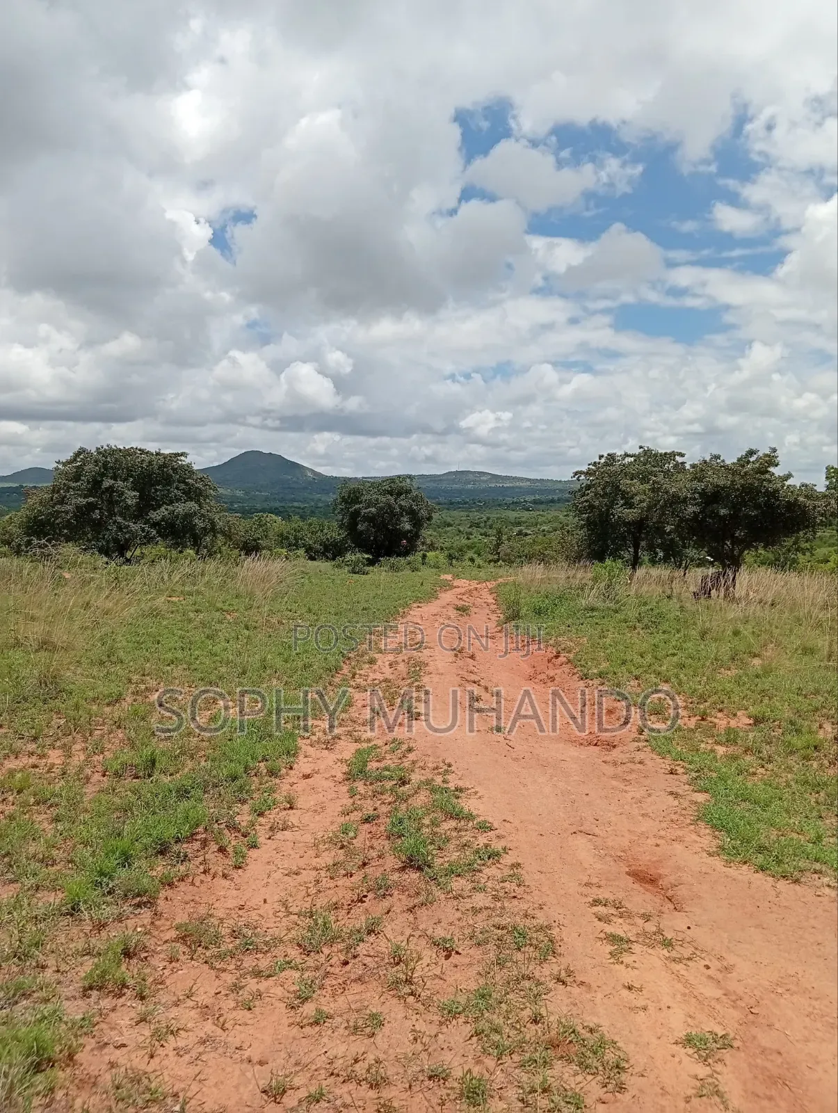 Matuu 50×100 Plot – KSh 250,000