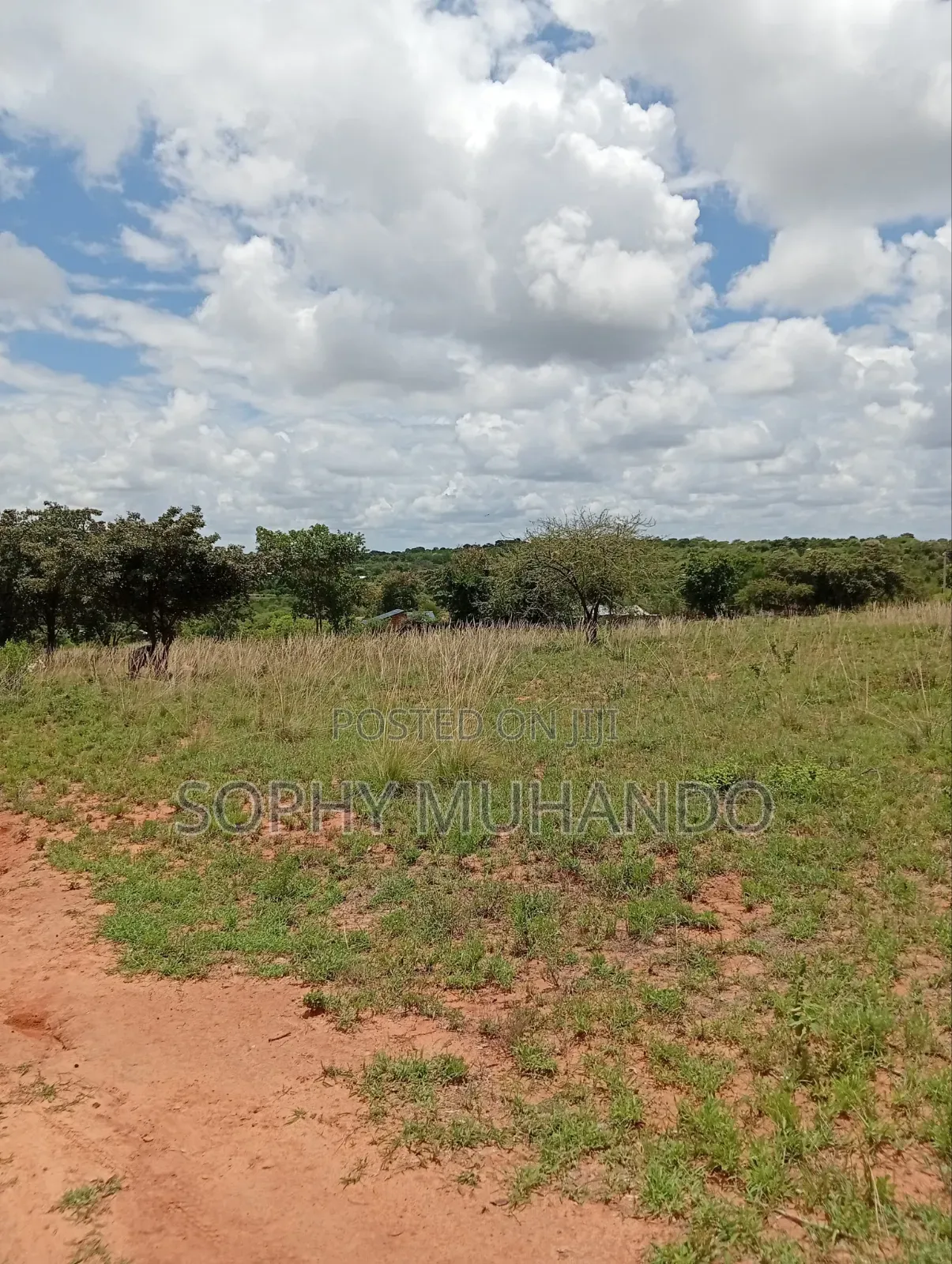 Matuu 50×100 Plot – KSh 250,000