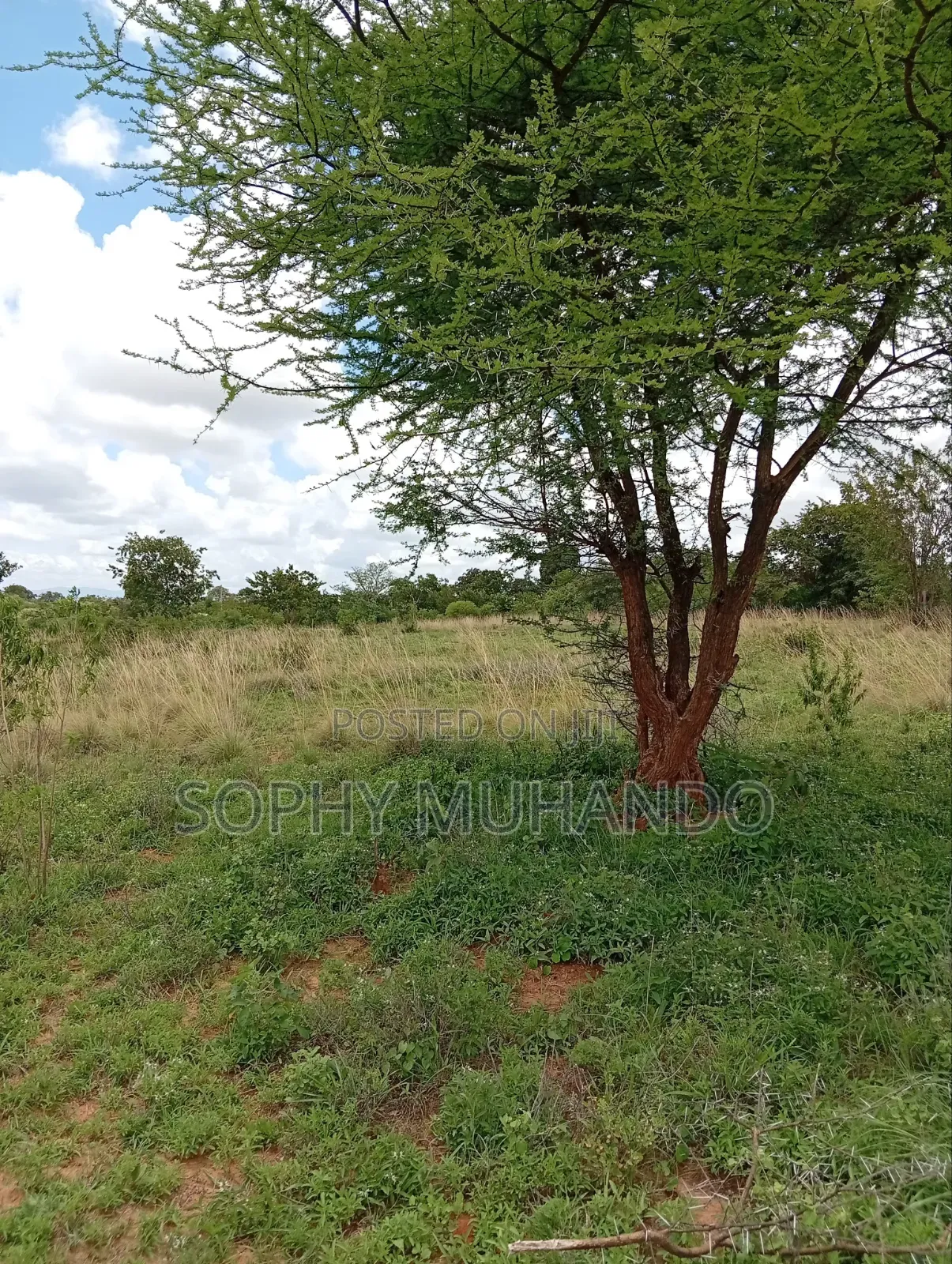 Matuu 50×100 Plot – KSh 250,000