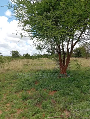 Matuu 50×100 Plot – KSh 250,000