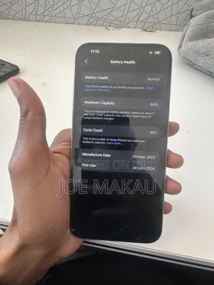 Apple iPhone 15 Pro Max 1 TB Silver