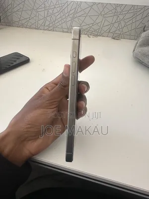 Apple iPhone 15 Pro Max 1 TB Silver