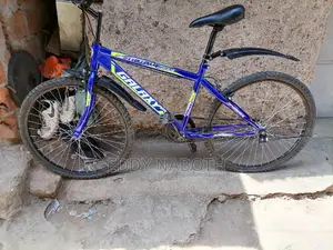 Galaxy Bike