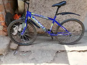 Galaxy Bike