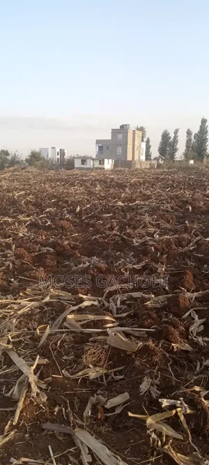 Anmer Plot Next to Migaa Estate