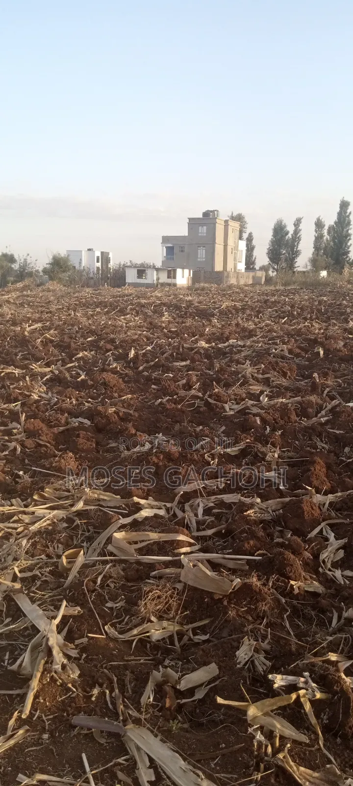 Anmer Plot Next to Migaa Estate
