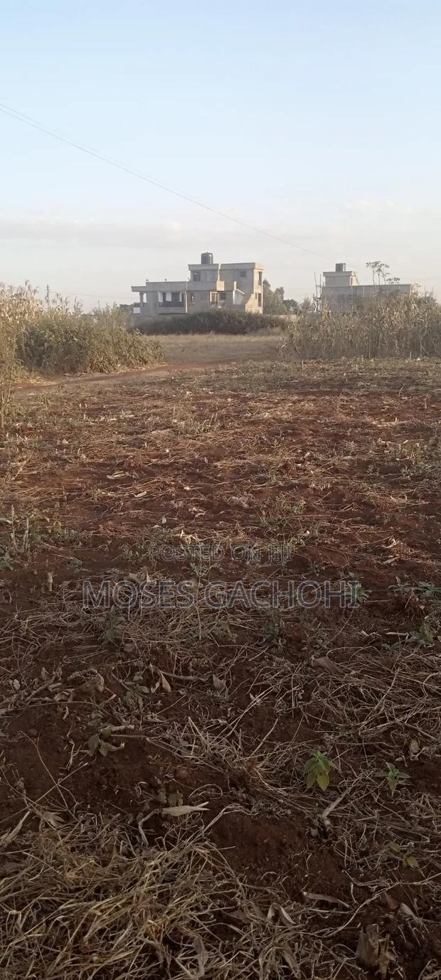 Anmer Plot Next to Migaa Estate - thumbnail 6