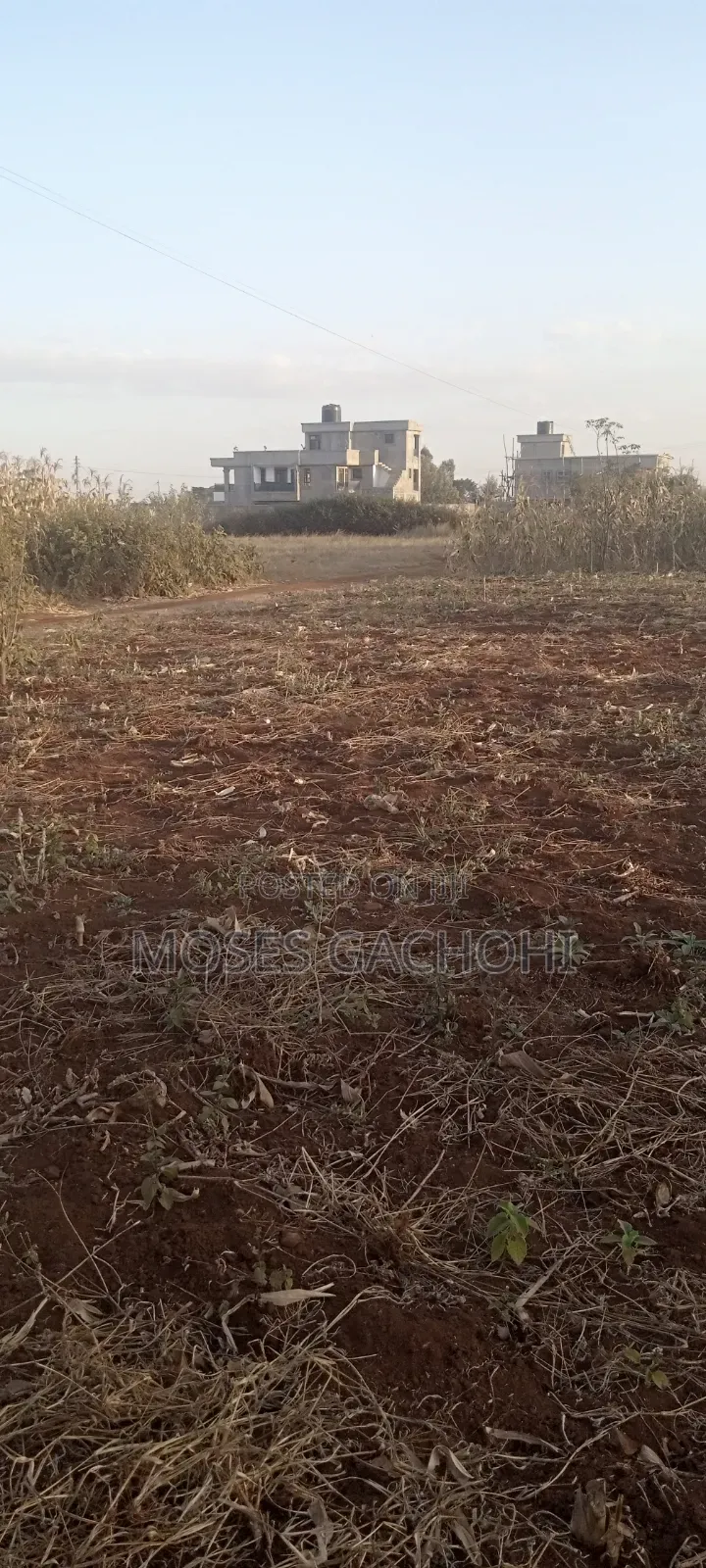 Anmer Plot Next to Migaa Estate