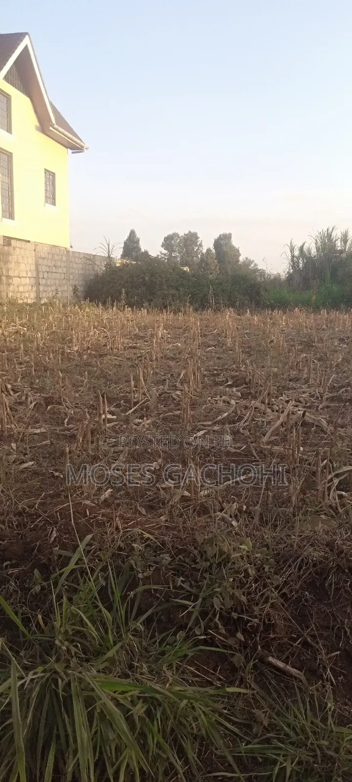 Anmer Plot Next to Migaa Estate
