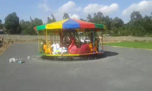 Merry Go Round