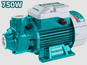 Total 750W (1HP) Peripheral Water Pump